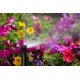 Форсунка Hunter 15AHE High Efficiency Pro-Spray радіус 4,5 м схили