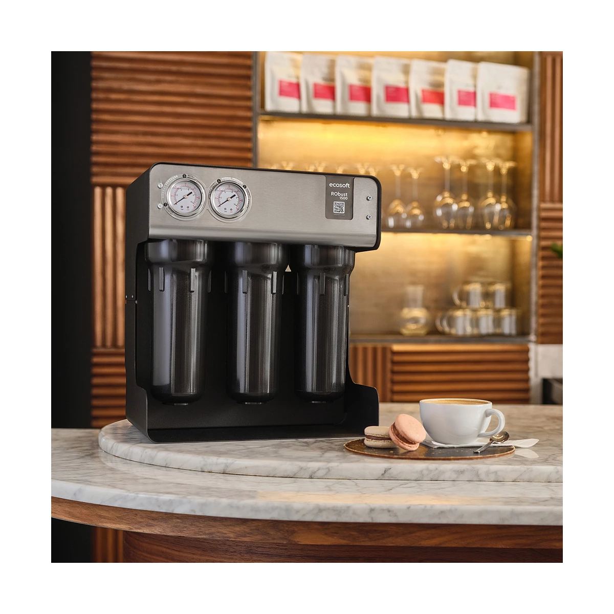 Коммерческий фильтр обратного осмоса Ecosoft RObust 1500ECO до 100 л/ч для кафе, гостиниц и ресторанов