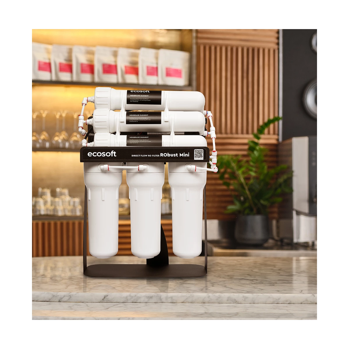 Коммерческий фильтр обратного осмоса Ecosoft RObust Mini до 60 л/ч, без бака, для кофейни и офиса