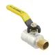 Кран шаровой газовый муфтовый 3/4" ВР-НР ручка Raftec YELLOW GRH21 DN20 PN40 латунь никелированная